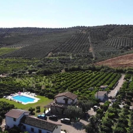 Agriturismo Trappeto Vecchio San Demetrio Corone Экстерьер фото
