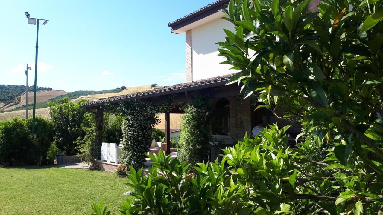 Agriturismo Trappeto Vecchio San Demetrio Corone Экстерьер фото