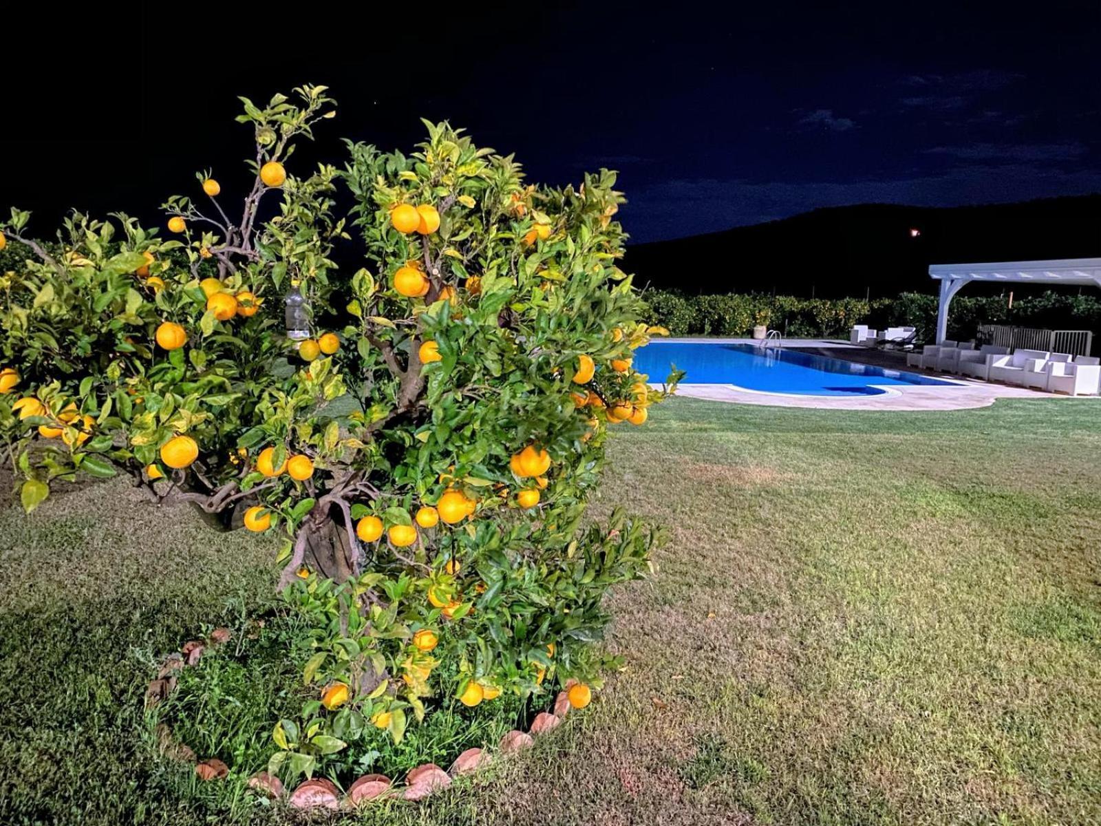 Agriturismo Trappeto Vecchio San Demetrio Corone Экстерьер фото
