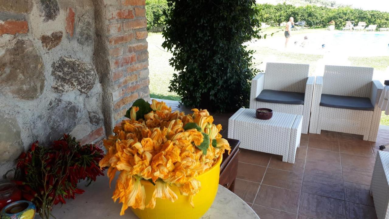 Agriturismo Trappeto Vecchio San Demetrio Corone Экстерьер фото