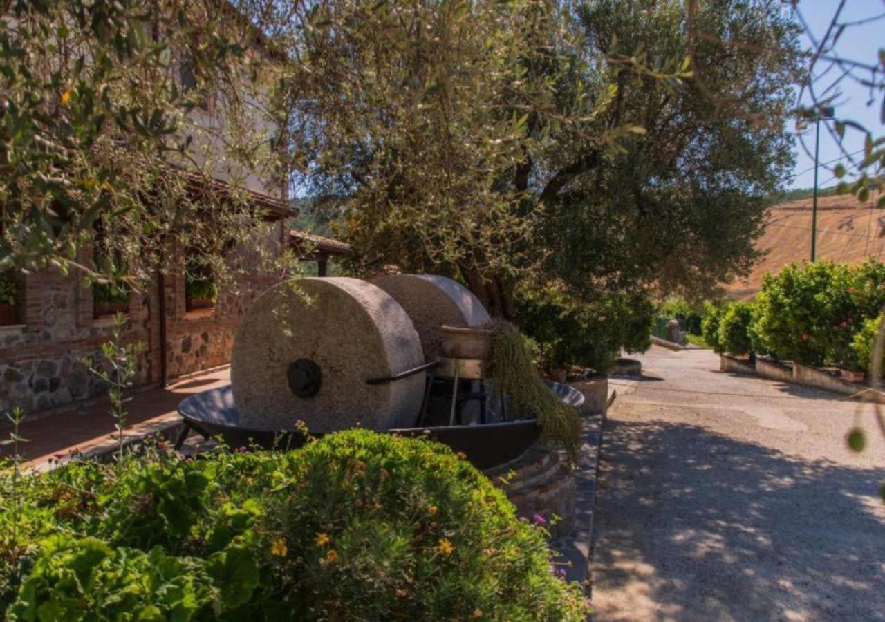 Agriturismo Trappeto Vecchio San Demetrio Corone Экстерьер фото