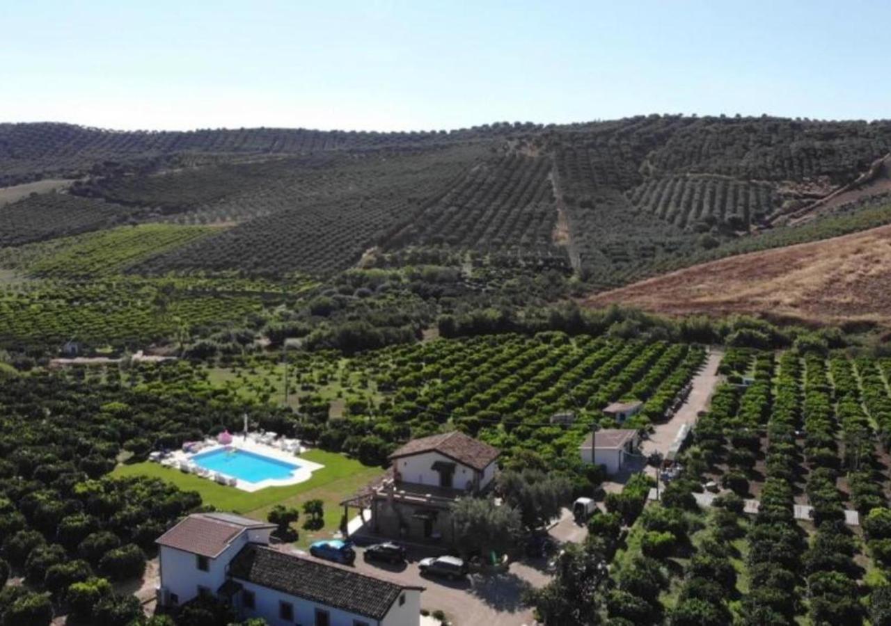Agriturismo Trappeto Vecchio San Demetrio Corone Экстерьер фото