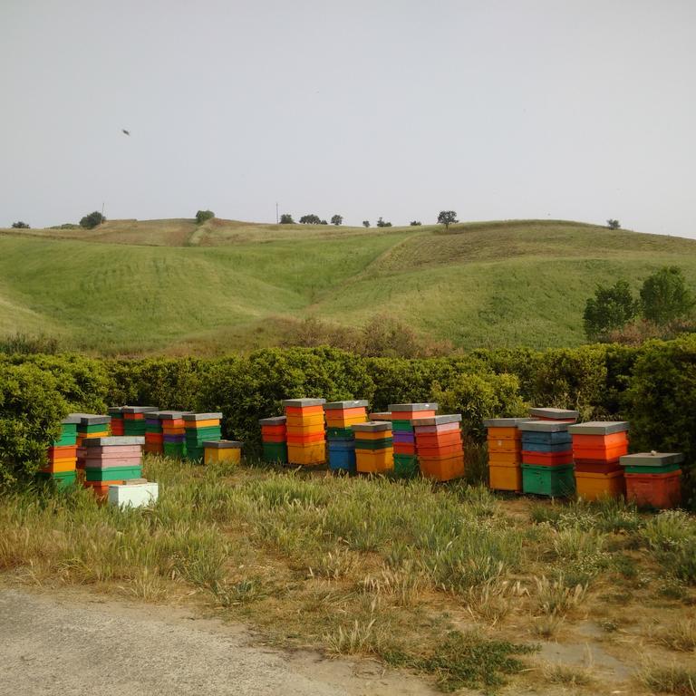 Agriturismo Trappeto Vecchio San Demetrio Corone Экстерьер фото